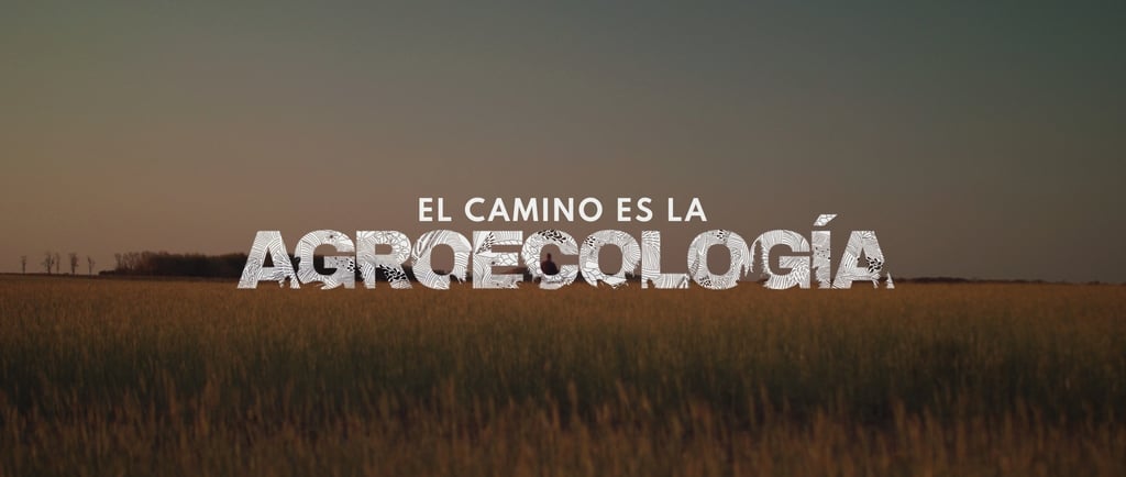 a field with a sign that says, el camino de agroecología