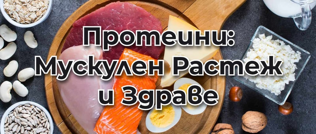 Дъска с наредени високопротеинови храни