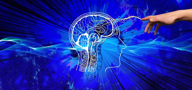 químicos del cerebro