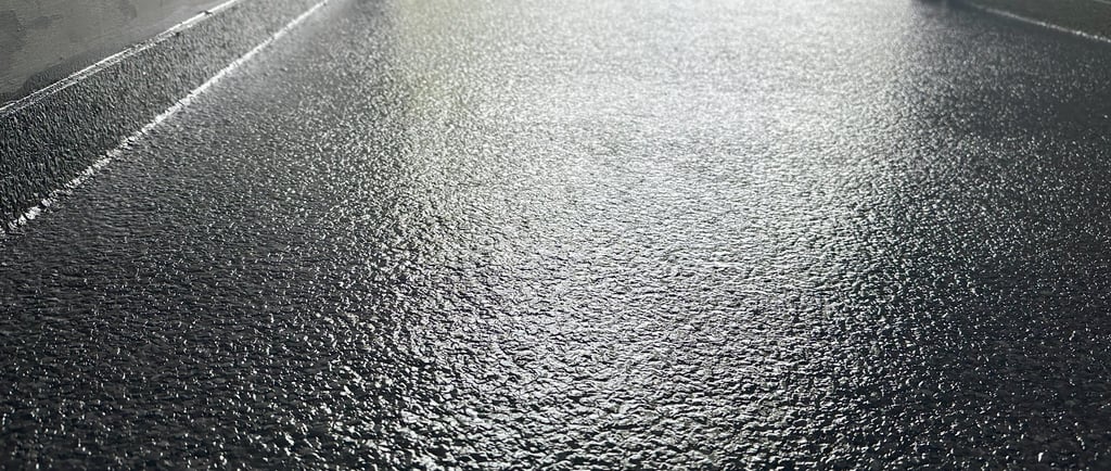 Epoxy Flake Floor on enclosed trailer in Jacksonville