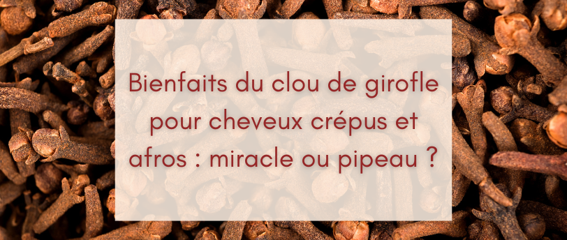 Bienfaits du clou de girofle pour cheveux crépus et afros : miracle ou pipeau ?