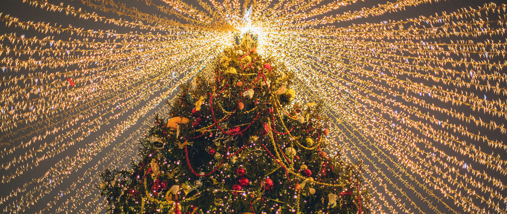 magicien arbre de noël