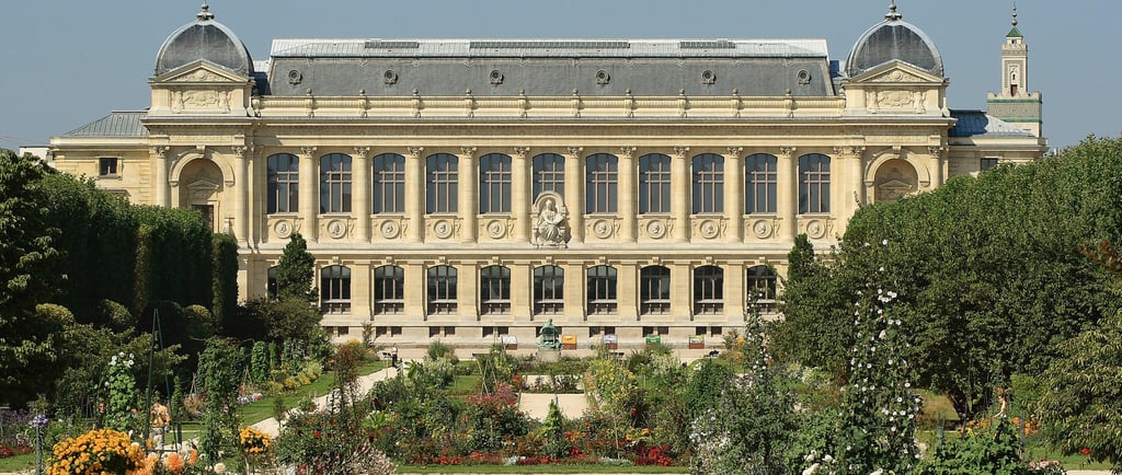 jardin des plantes