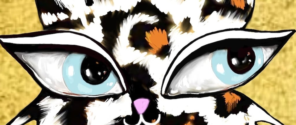Hawa Cat contemporary cartoon art