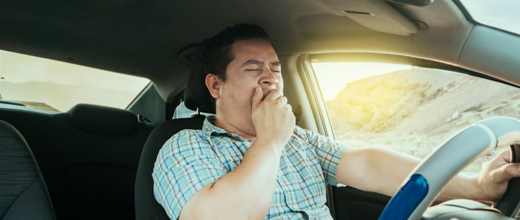 dormir ao volante
