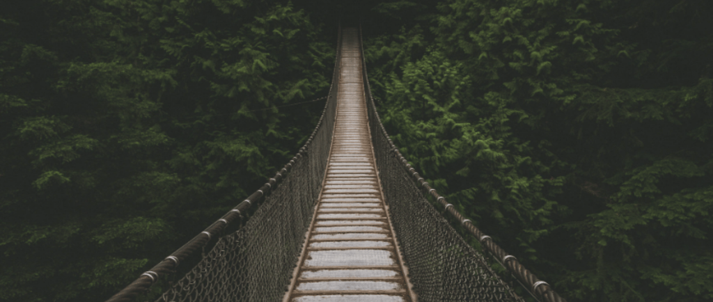 a suspension bridge over a river in a forest