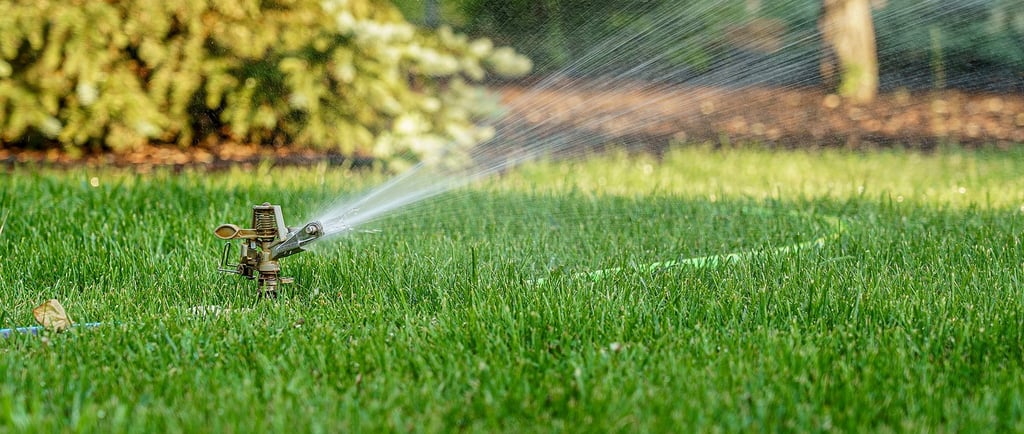 Lawn services in Bangalore by Mygreenearth