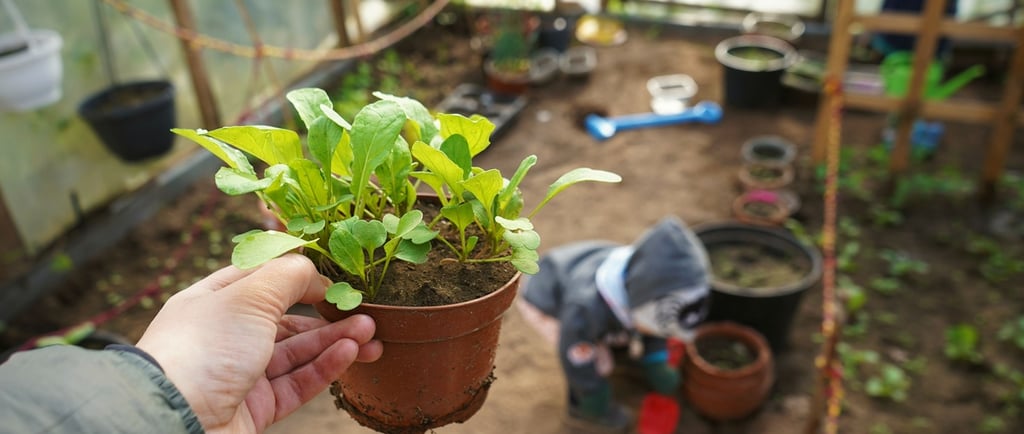 A hand holding a potted green plant seedling in a sunny garden greenhouse with a child playing.