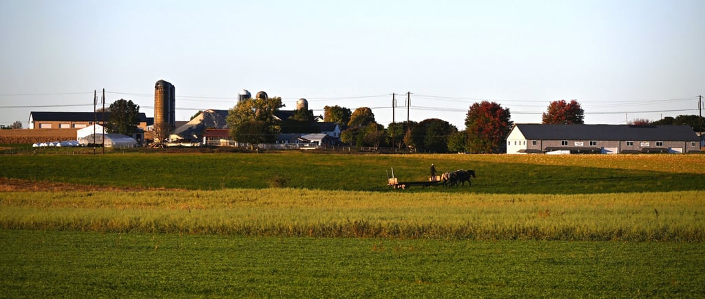 Amish farmer working the fields at evening with horses in Lancaster, Pennsylvania