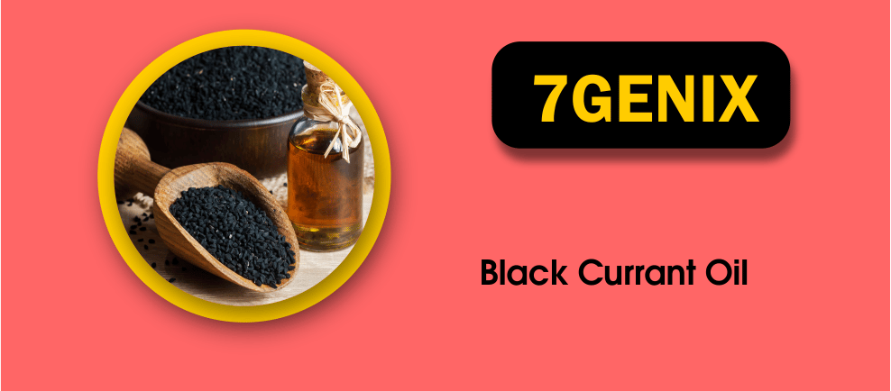 Start Black Currant Oil Business