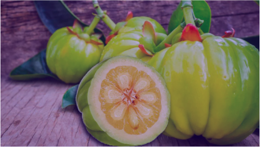 garcinia-cambogia-private-label-manufacturing