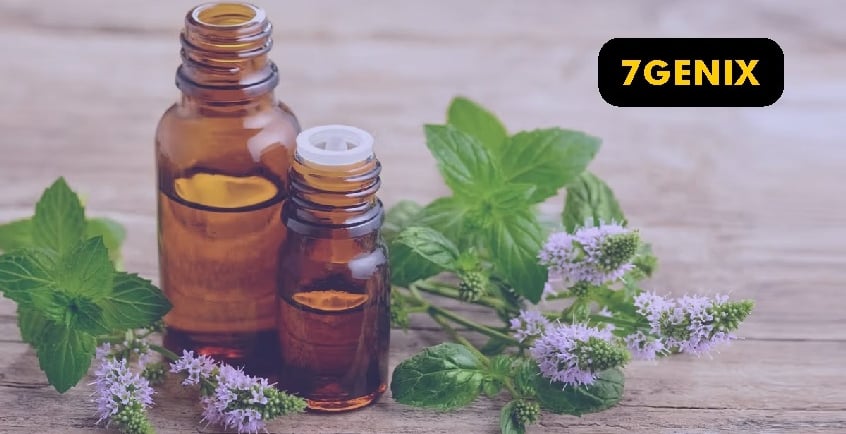 peppermint-oil-amazon-niche-success