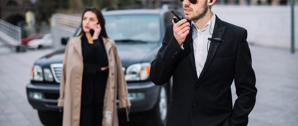 Professional Security Guard Services California