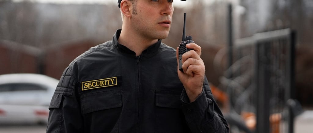 Professional Security Guard Services