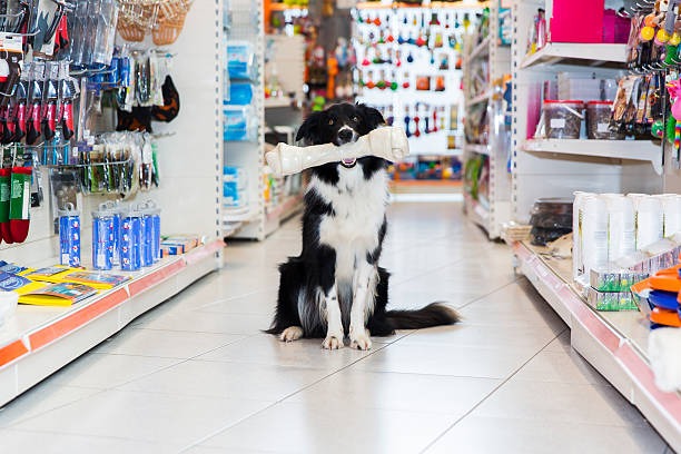 a dog sitting on a store shelf in a store