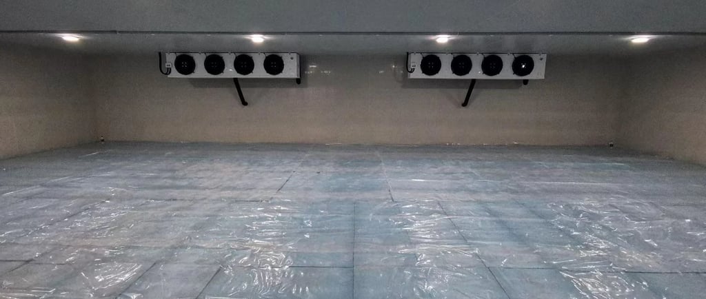 Walk in freezer interior