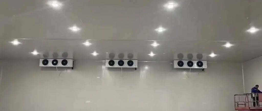 freezer room cold storage solutions