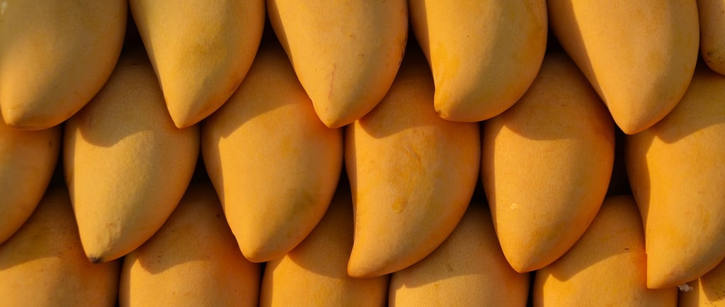 mango storage temperature