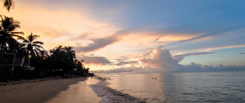 a beach with a sunset and palm trees