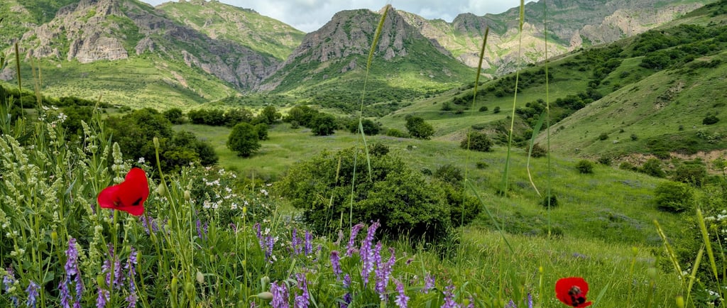 armenia, wildflowers, hiking