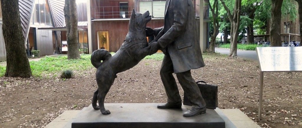 Hachikō – The World’s Most Loyal Dog