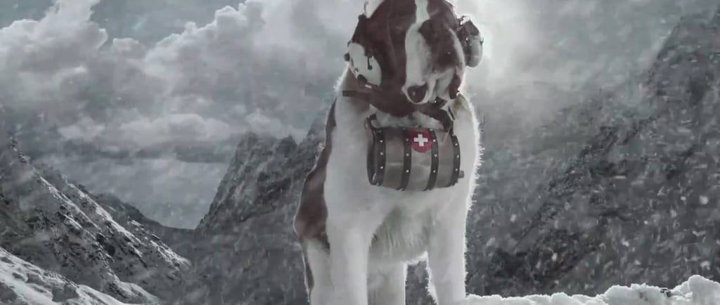 Barry – The Legendary Swiss Rescue Dog