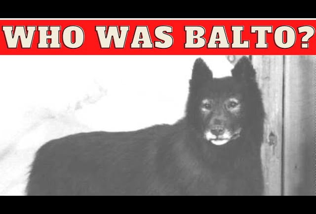 Balto the sled dog