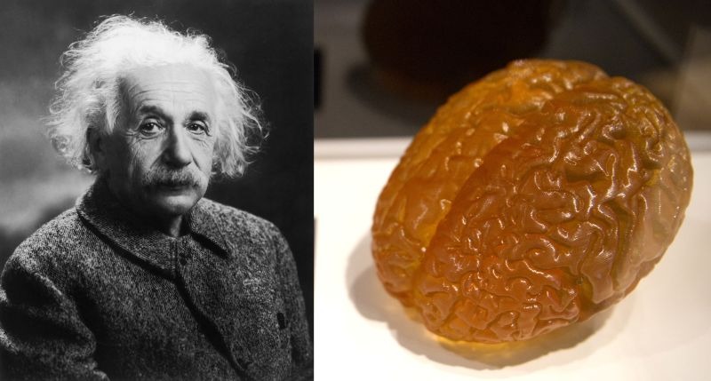 albert einstein