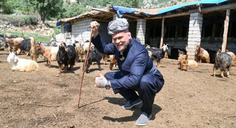 immu kuva
