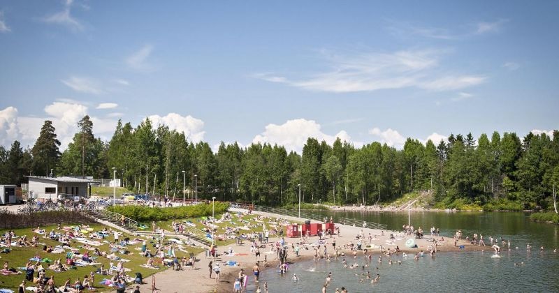 Vibrioositapaukset Suomessa