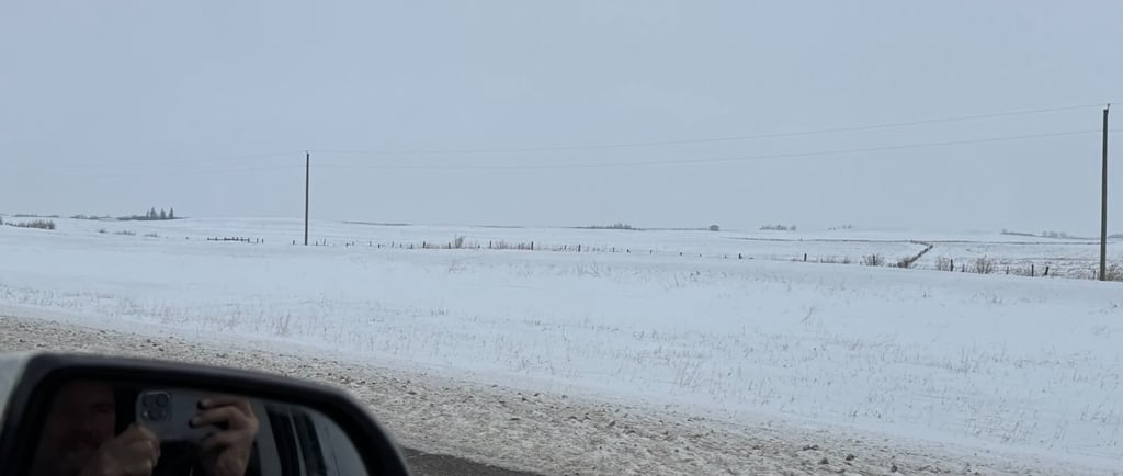 Typical view of the Prairie