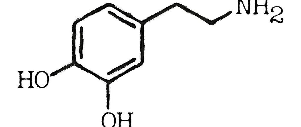 Learn what a dopamine detox really means, how it works, and the process to reset your brain