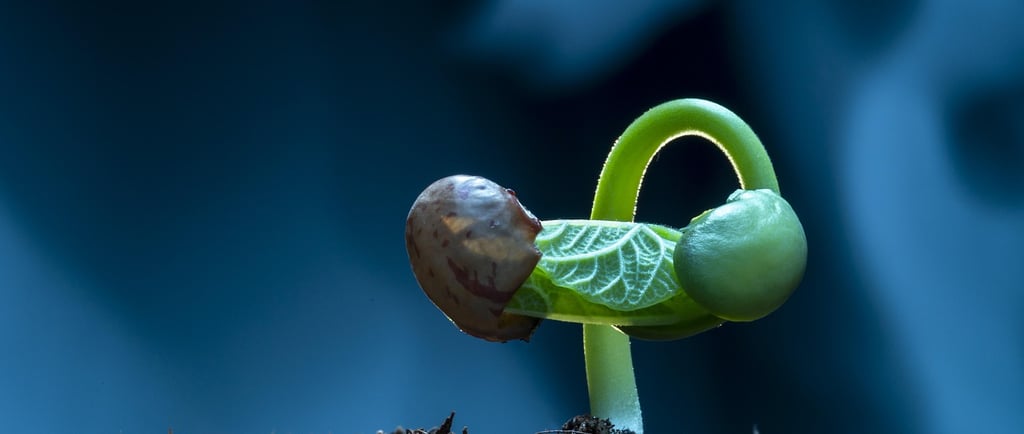 A new year always brings fresh motivation, but real transformation comes from small habits