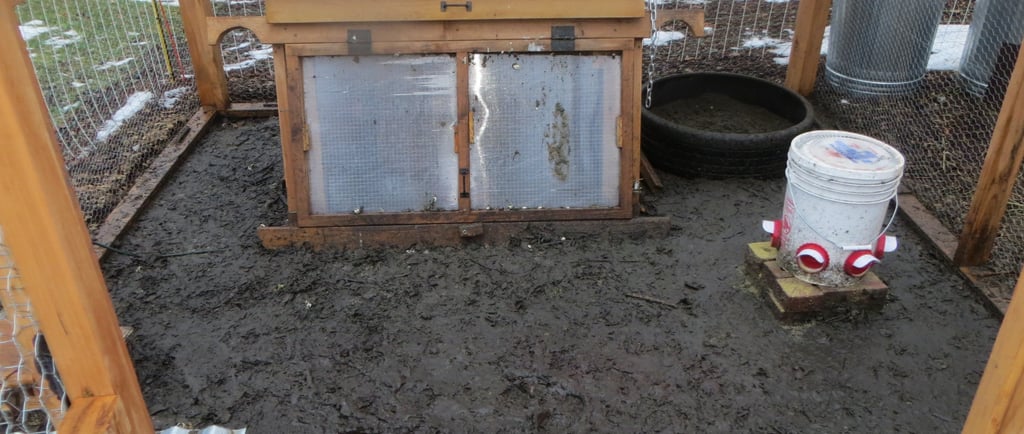 muddy chicken coop