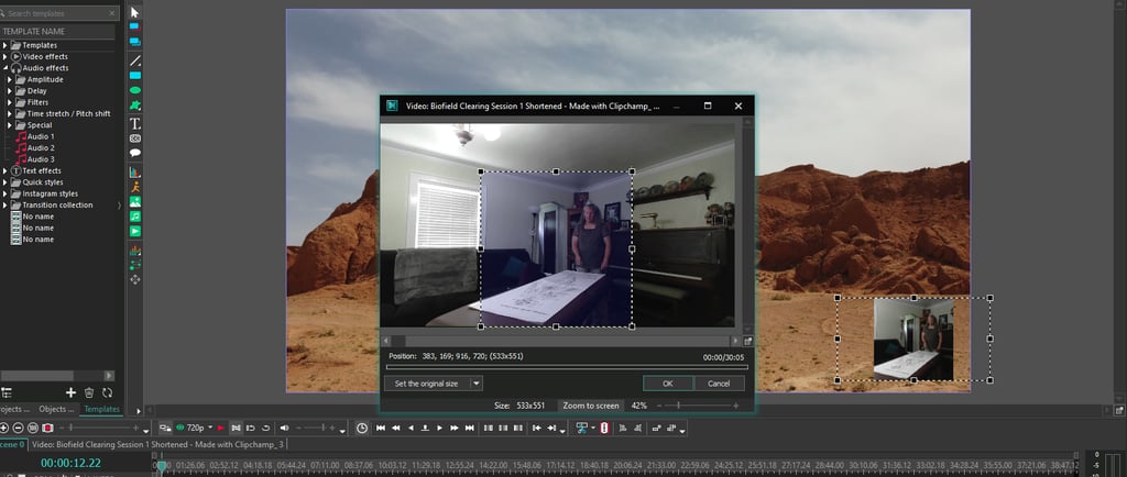 Picture of the program I use