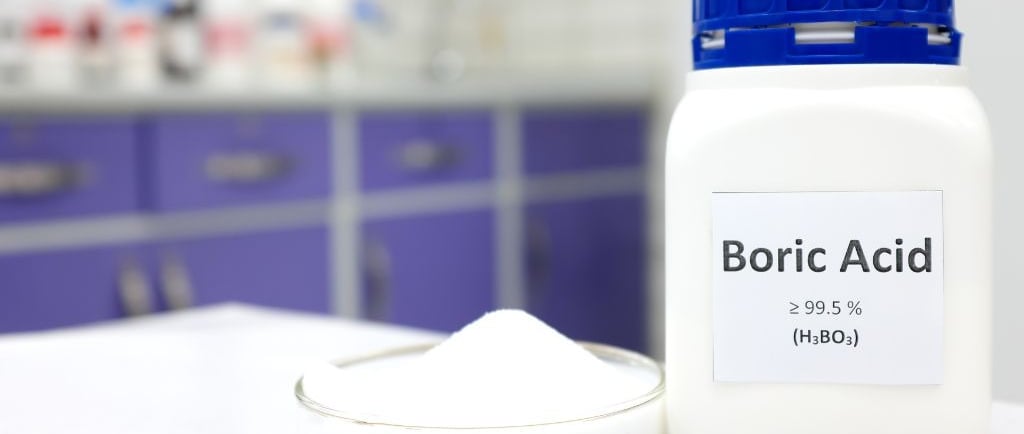 concentrated boric acid power