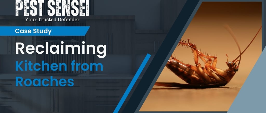 case study on cockroach extermination in a johor bahru house