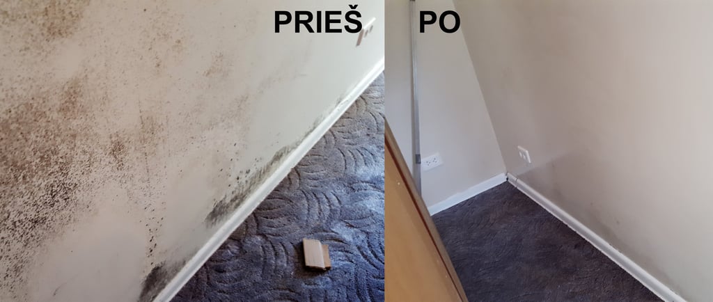 Pelesio naikinimo paslaugos, pelesio naikinimo darbai, pelesio naikinimo imone,