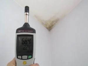 drėgmės matuoklis, pelėsio prevencija, namų drėgmės kontrolė, oro drėgmės matuoklis, sveika aplinka