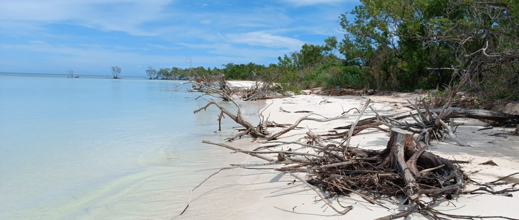 Spiaggia incontaminata di Cayo Jutias a Cuba