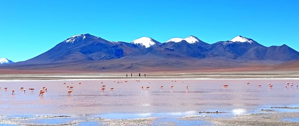 Bolivia fai-da-te