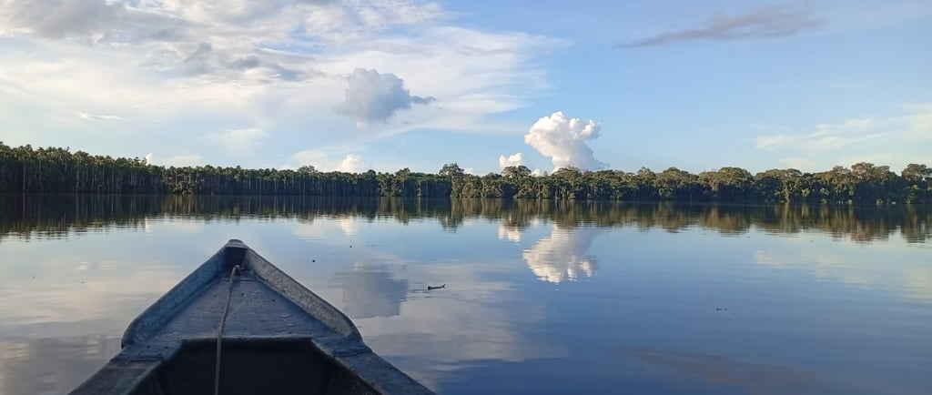 Lago Sandoval - Tambopata Nationa Reserve