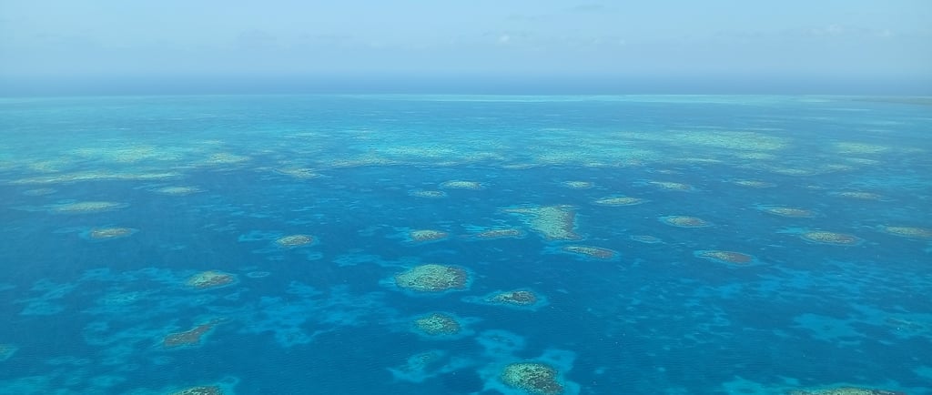 Barriera corallina del Belize vista dall'alto