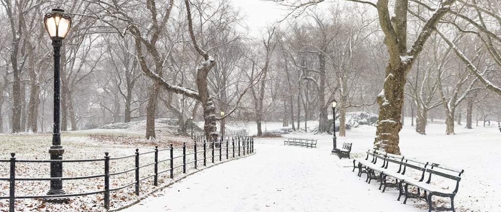 A quiet snow-covered path with benches, inviting rest and stillness.