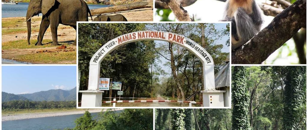Manas National Park