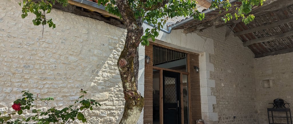 a tree in a courtyard with a tree in the background