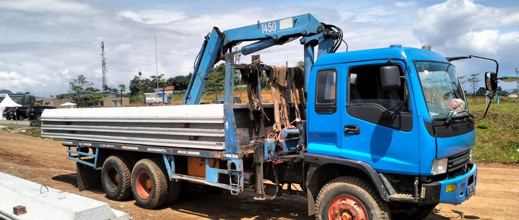 mobil crane 25 ton