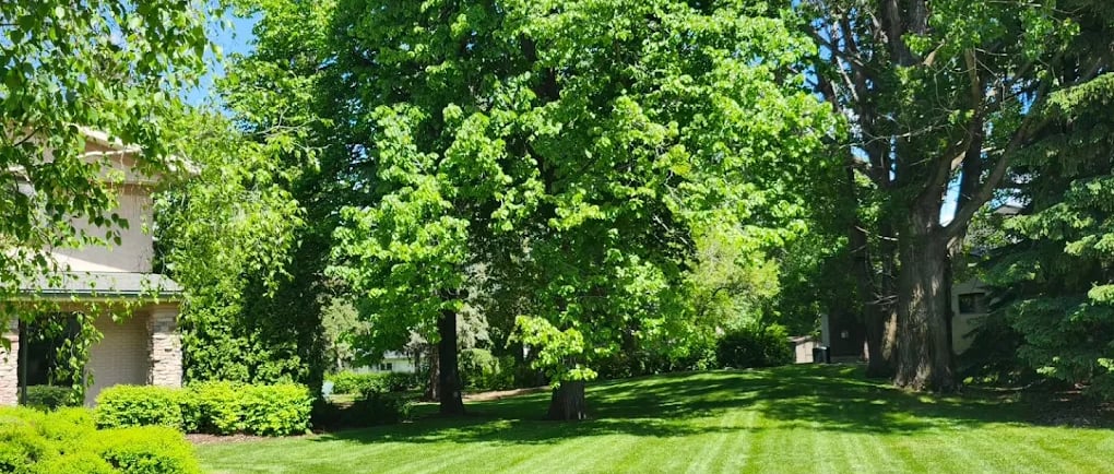 lawn care in steinbach