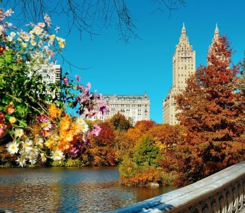 Central Park in New York