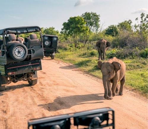 a jeep with people in a jeep driving down a dirt road